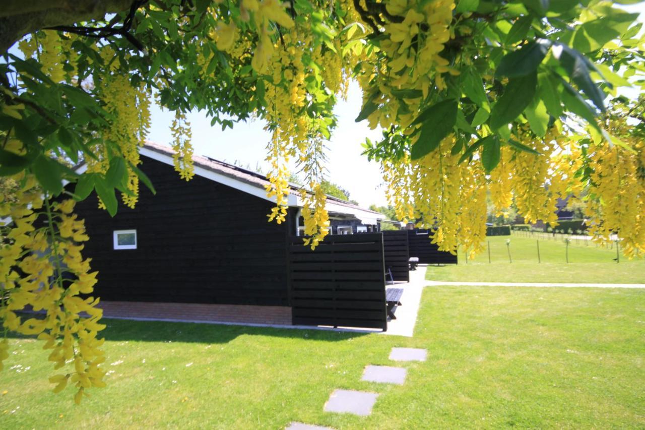 B&B Beach&Bos Oostvoorne Exterior photo