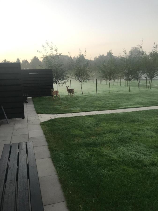 B&B Beach&Bos Oostvoorne Exterior photo